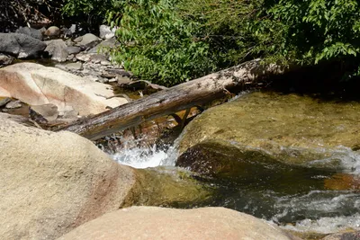 DSC_3805 (Large).JPG